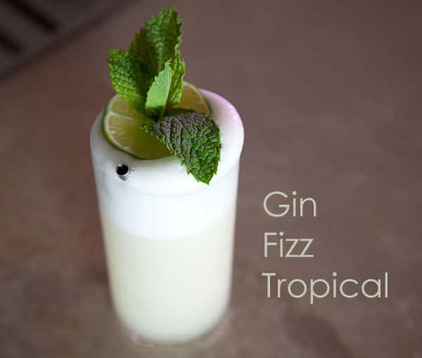 recipe-Gin-Fizz-Tropical